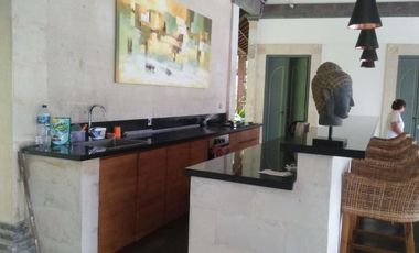 PRIVATE VILLA DENGAN VIEW MENAWAN DI AREA UBUD BALI