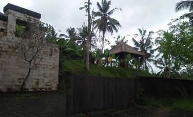 PRIVATE VILLA DENGAN VIEW MENAWAN DI AREA UBUD BALI