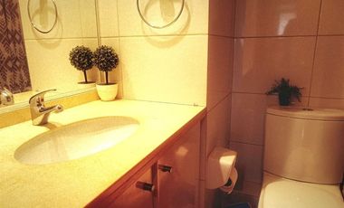 Departamento en arriendo de 2 dorm. Metro Pedro de Valdivia