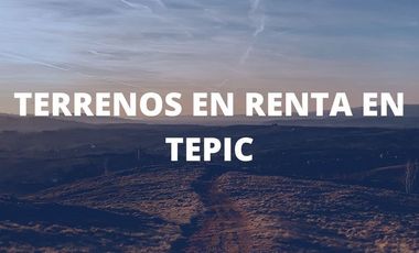 TERRENO EN RENTA FRENTE A LA UNIVERSIDAD DE TEPIC., NAY