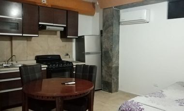 Departamento tipo Loft zona Sur