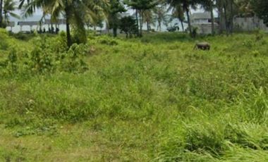 Tanah 150 m Kavling Pinggir Jalan Raya Anyer