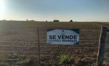 900 has agrícolas zona Maciel, Oliveros