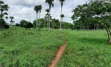 20 Hectáreas en San Isidro (vía Tierralta)-Cordoba