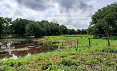 20 Hectáreas en San Isidro (vía Tierralta)-Cordoba