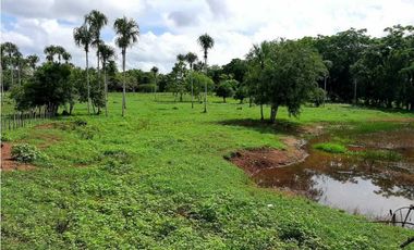 20 Hectáreas en San Isidro (vía Tierralta)-Cordoba