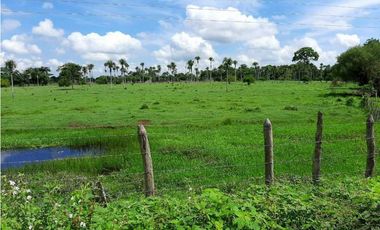 20 Hectáreas en San Isidro (vía Tierralta)-Cordoba