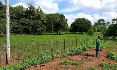 20 Hectáreas en San Isidro (vía Tierralta)-Cordoba