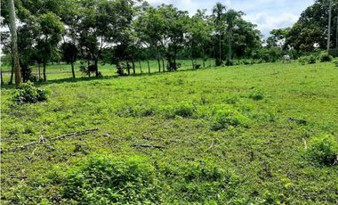 20 Hectáreas en San Isidro (vía Tierralta)-Cordoba