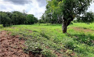 20 Hectáreas en San Isidro (vía Tierralta)-Cordoba