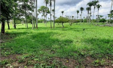 20 Hectáreas en San Isidro (vía Tierralta)-Cordoba