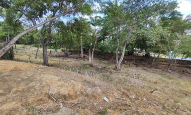 lote en venta en bocono. Cod V28128