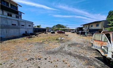 LOTE COMERCIAL DOLEGUITA