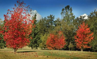 Casa en Abril Club de Campo