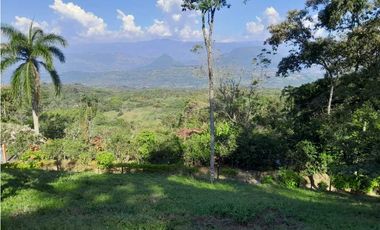 VENTA LOTE TAMESIS , SUROESTE ANTIOQUEÑO