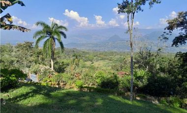 VENTA LOTE TAMESIS , SUROESTE ANTIOQUEÑO