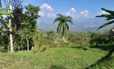 VENTA LOTE TAMESIS , SUROESTE ANTIOQUEÑO