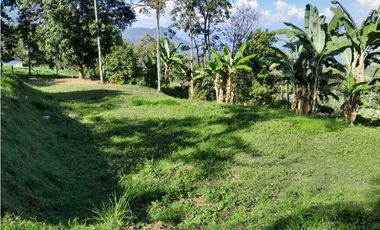 VENTA LOTE TAMESIS , SUROESTE ANTIOQUEÑO