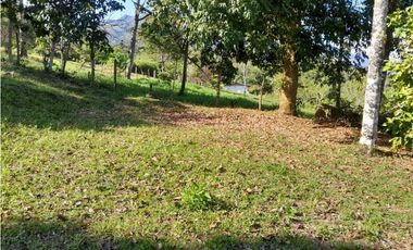 VENTA LOTE TAMESIS , SUROESTE ANTIOQUEÑO