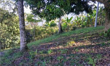 VENTA LOTE TAMESIS , SUROESTE ANTIOQUEÑO