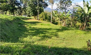 VENTA LOTE TAMESIS , SUROESTE ANTIOQUEÑO