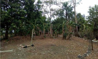 Venta de lote campestre + mejora en el km 12 vía planeta rica, Monterí