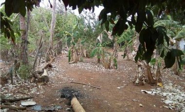 Venta de lote campestre + mejora en el km 12 vía planeta rica, Monterí