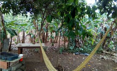Venta de lote campestre + mejora en el km 12 vía planeta rica, Monterí