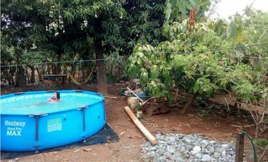 Venta de lote campestre + mejora en el km 12 vía planeta rica, Monterí