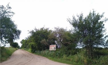 VENTA- 17.7 HECTAREAS- COLONIA CAROYA
