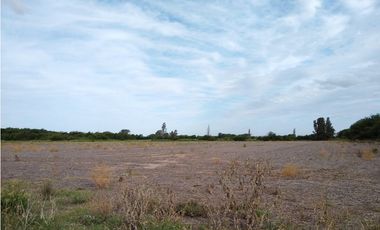VENTA- 17.7 HECTAREAS- COLONIA CAROYA
