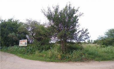 VENTA- 17.7 HECTAREAS- COLONIA CAROYA