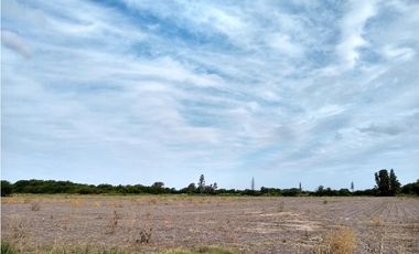VENTA- 17.7 HECTAREAS- COLONIA CAROYA