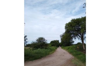 VENTA- 17.7 HECTAREAS- COLONIA CAROYA