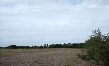 VENTA- 17.7 HECTAREAS- COLONIA CAROYA