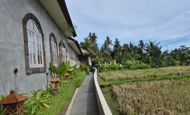 For Sale : Turnkey Hospitality Business & Property in Tampak Siring - Gianyar