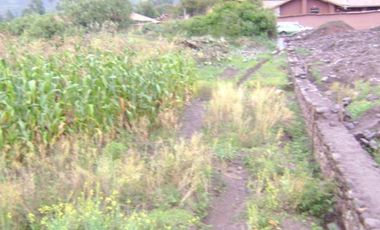 Terrenos Rusticos Venta AV. Pauccarniyoc Grande  - CUSCO