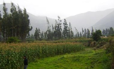 Terrenos Rusticos Venta AV. Pauccarniyoc Grande  - CUSCO