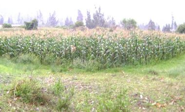Terrenos Rusticos Venta AV. Pauccarniyoc Grande  - CUSCO