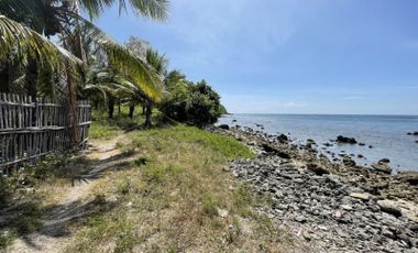 2,000 sqm Beachfront Lot for Sale in Siaton, Negros Oriental