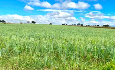 TERRENO HABITACIONAL EN VENTA, SAN JOSÉ CHIAPA, PUEBLA.