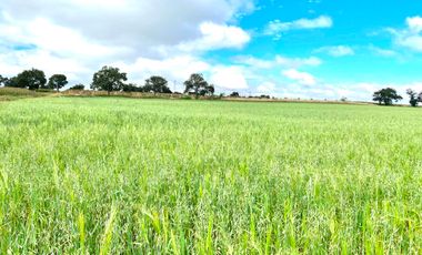 TERRENO HABITACIONAL EN VENTA, SAN JOSÉ CHIAPA, PUEBLA.