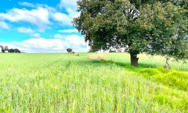 TERRENO HABITACIONAL EN VENTA, SAN JOSÉ CHIAPA, PUEBLA.