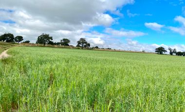 TERRENO HABITACIONAL EN VENTA, SAN JOSÉ CHIAPA, PUEBLA.