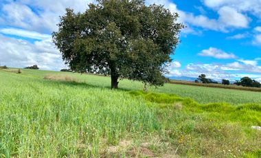 TERRENO HABITACIONAL EN VENTA, SAN JOSÉ CHIAPA, PUEBLA.