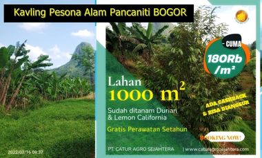 Tanah Kavling Kebun Subur di BOGOR Gratis Perawatan Setahun