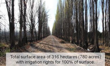 Finca en  San Rafael- Mendoza