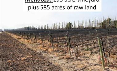 Finca en  San Rafael- Mendoza