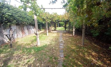 Casa 3 ambientes Lote 8.66x49