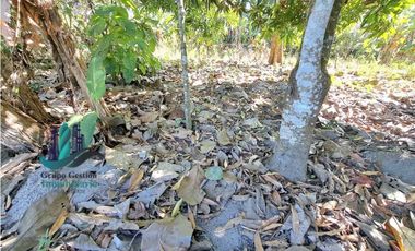 VENDO LOTE COLINDANTE CON RIO- QUEREVALO